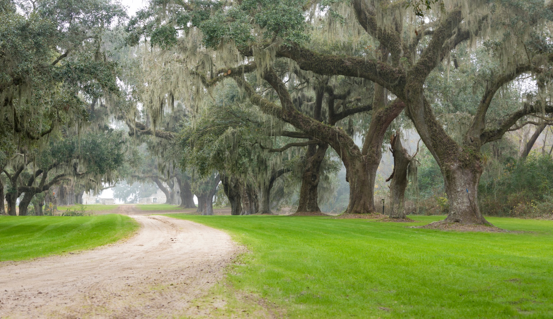 Southern plantation in the fog. RV camping